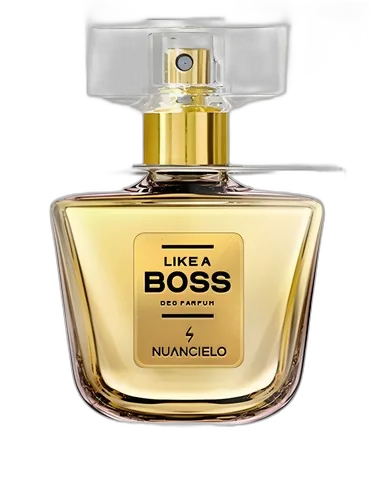 Nuancielo Like A Boss