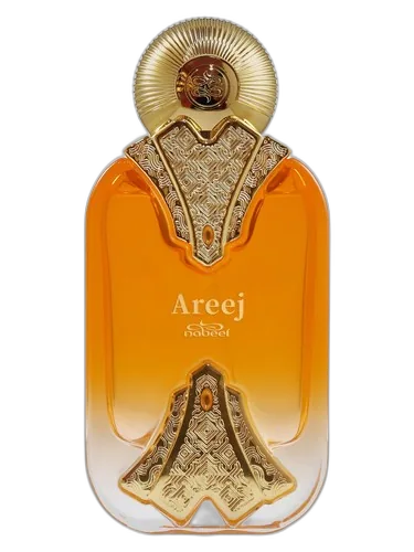 Nabeel Areej