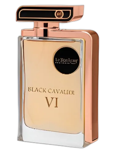 Le Bonheur Perfumes Black Cavalier VI