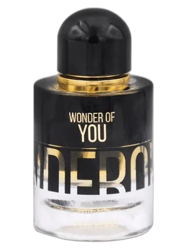 Riiffs Perfumes Wonder of You Men