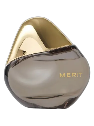 Merit Retrospect