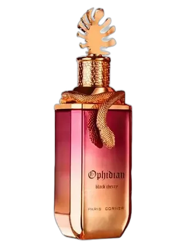 PARIS CORNER Ophidian Black Cherry