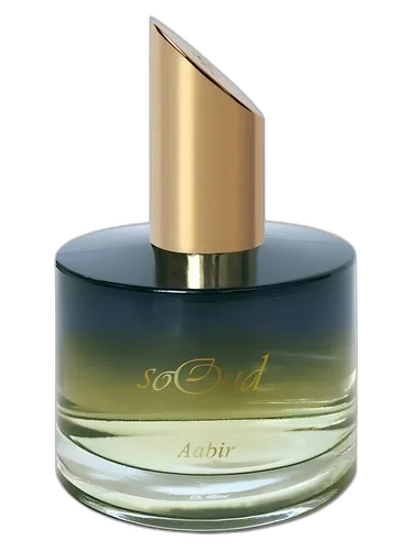 SoOud Aabir