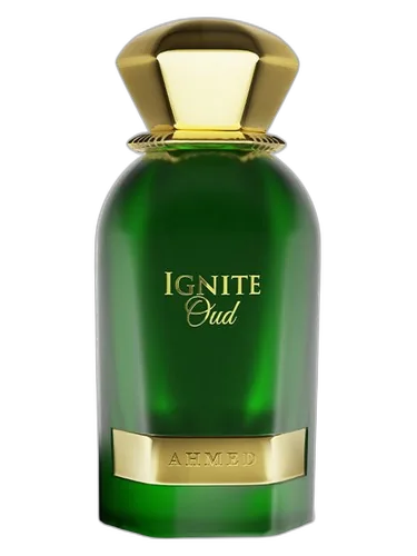 Ahmed Al Maghribi Ignite Oud