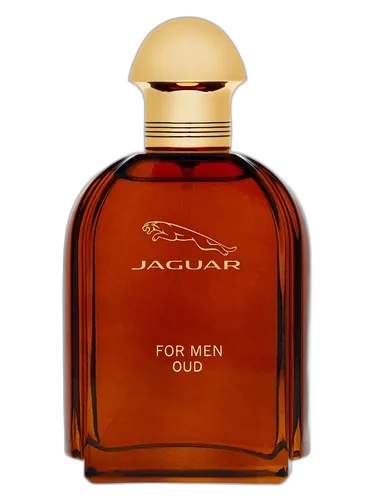 Jaguar Jaguar For Men Oud