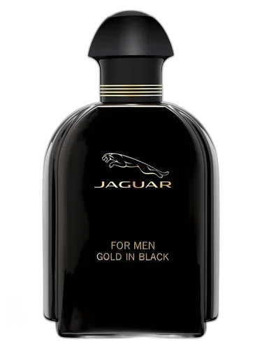 Jaguar Jaguar For Men Gold in Black